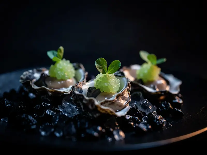 Oysters on dark ice with green apple and sorrel